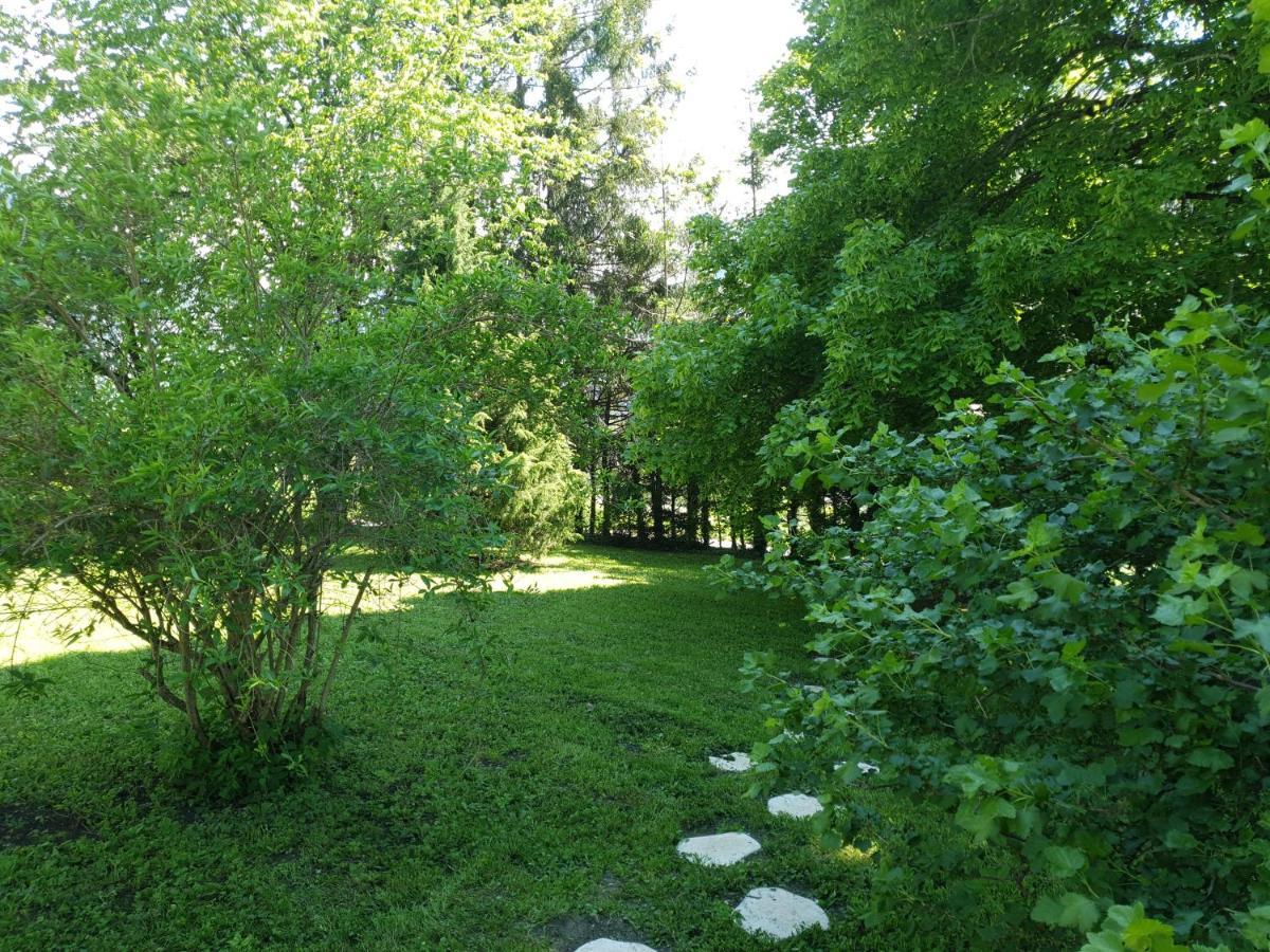 Chalet Tante Emma Vacheresse Екстер'єр фото